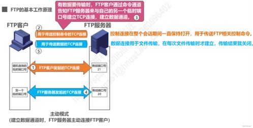 計算機網(wǎng)絡應用層 信息咨詢服務的核心引擎
